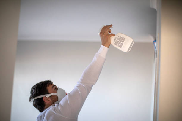 Best Same-Day Mold Removal  in Camden, SC